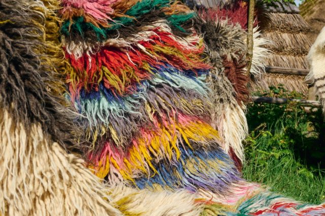 Vibrant handmade rugs in a sunny rural outdoor setting with traditional village backdrop.